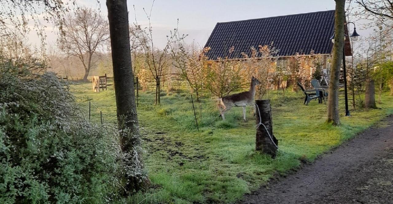 B&B Landgoed Sonneborghe Kollumerzwaag Exteriör bild