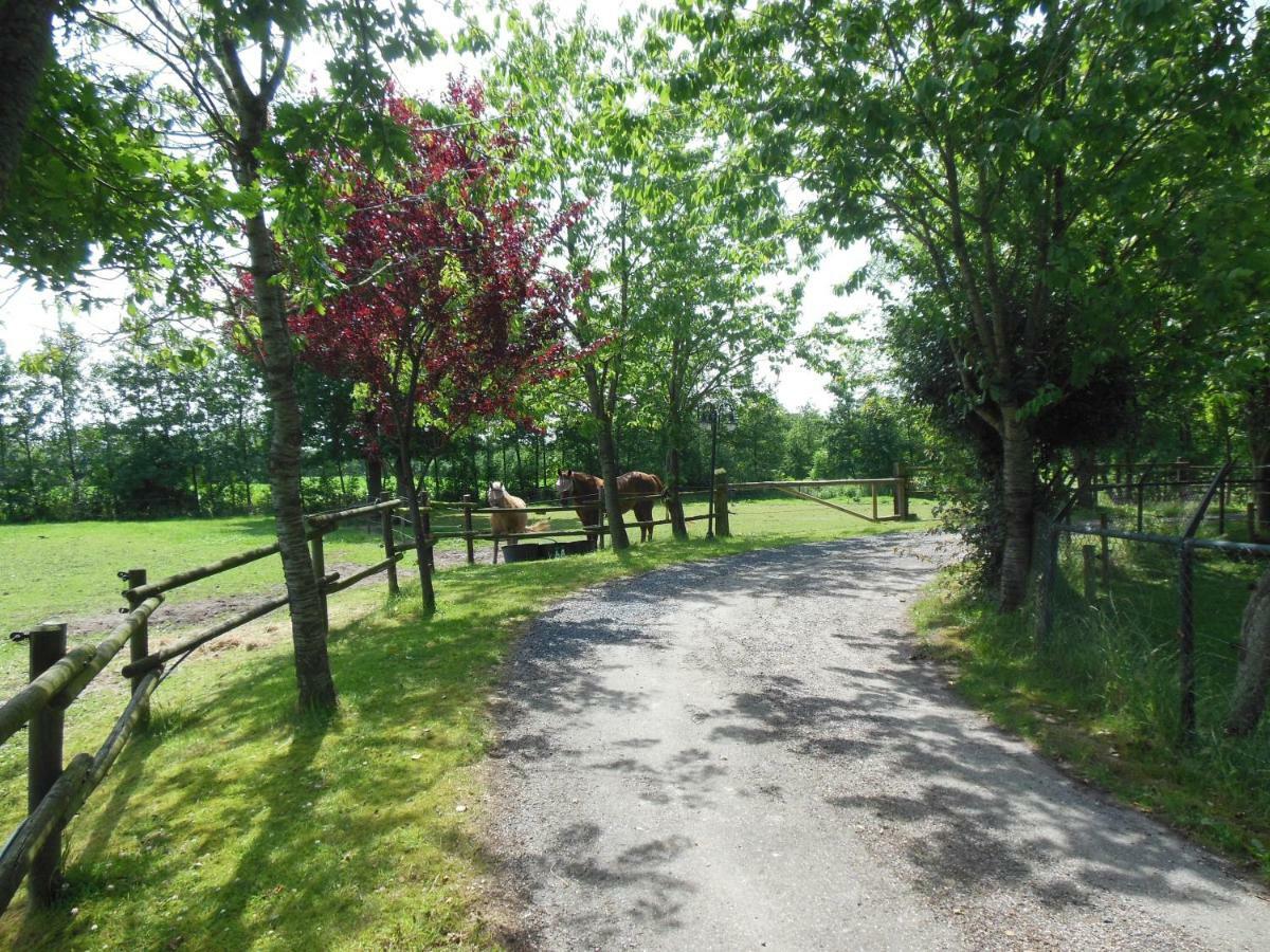 B&B Landgoed Sonneborghe Kollumerzwaag Exteriör bild
